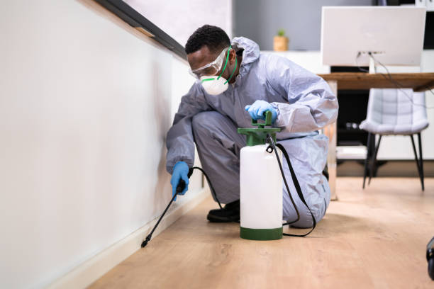 Best Fumigation Services  in Levittown, NY